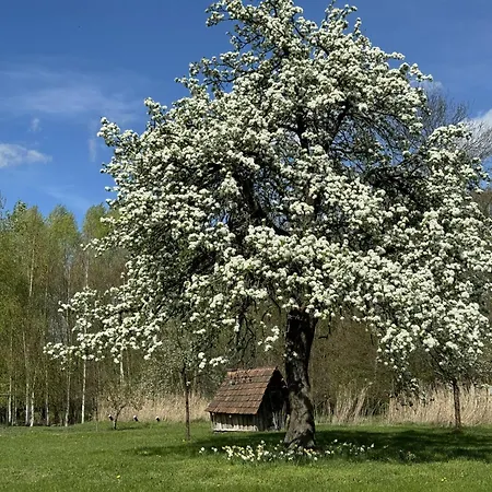 Fontanehof Lägenhet