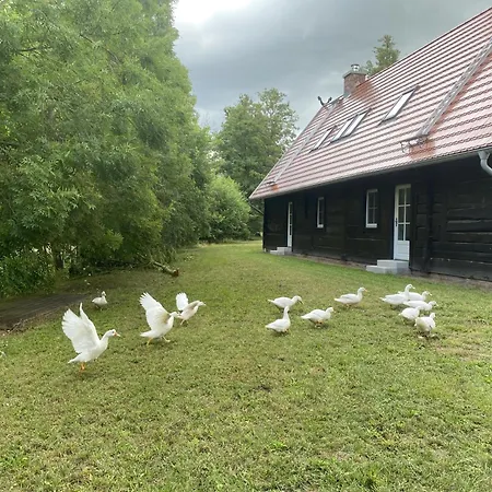 Fontanehof Burg (Spreewald)