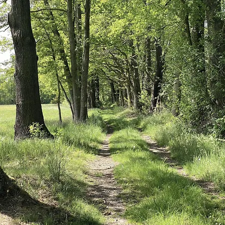 Fontanehof Lägenhet