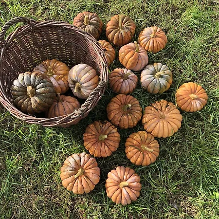 Fontanehof * Burg (Spreewald)