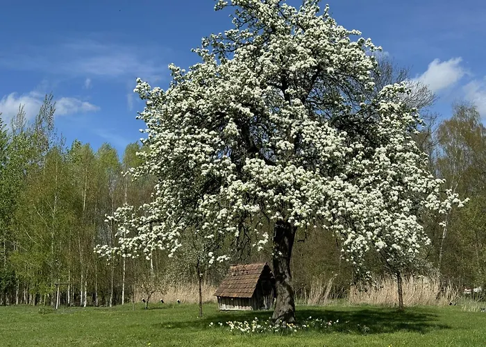 Fontanehof Apartamento