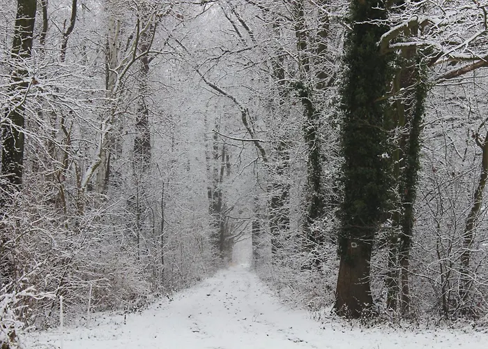 Appartement Fontanehof