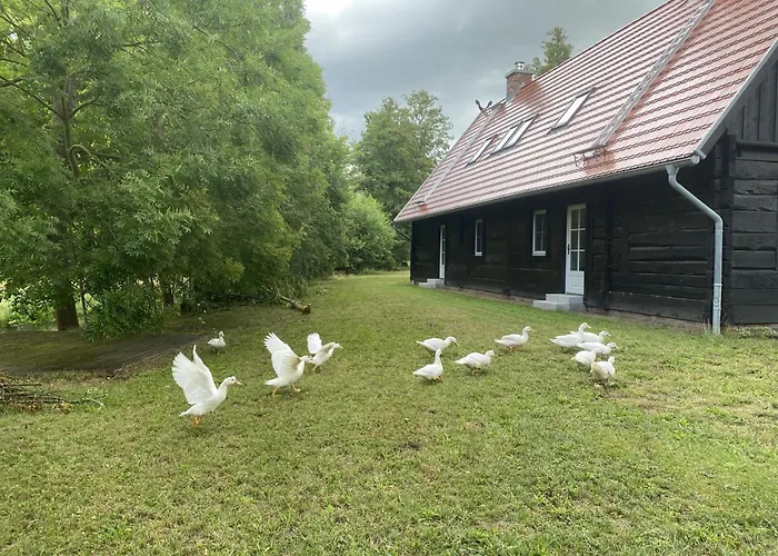 Fontanehof Burg (Spreewald)