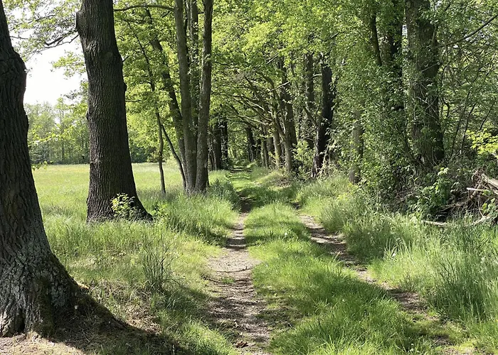 Fontanehof Appartement