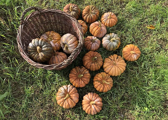 Fontanehof * Burg (Spreewald)
